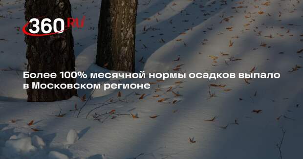 Более 100% месячной нормы осадков выпало в Московском регионе