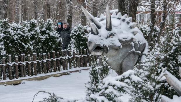Динозавр с климат-контролем: зачем трицератопсу понадобился огромный нос