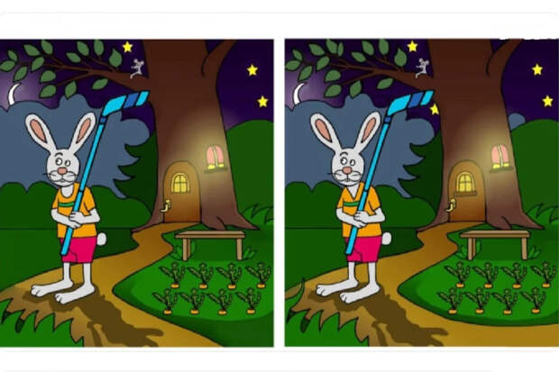 Головоломка: заяц стережет морковку, а вы проверяете внимательность