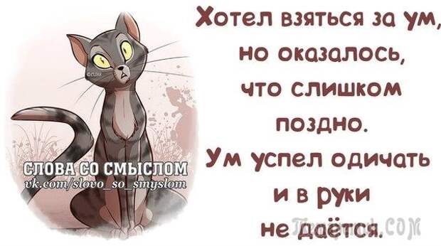 Смешные открытки с философские уклоном