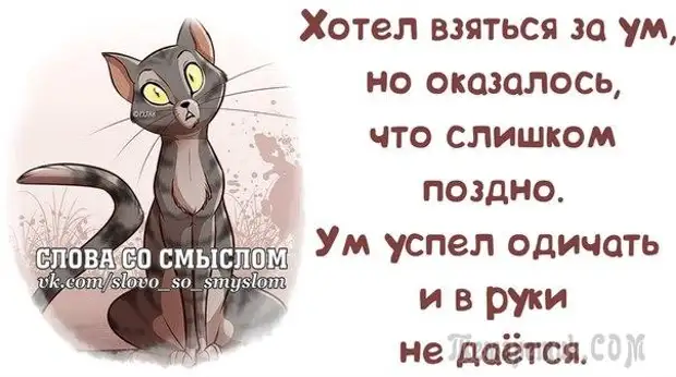 Смешные открытки с философские уклоном