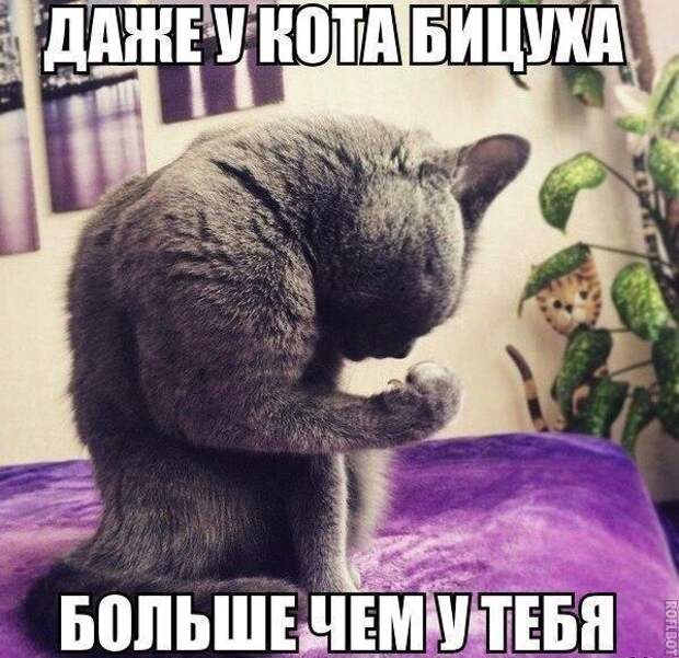 Позитивные картинки с надписями для хорошего настроения (11 фото) Позитивные картинки с надписями для хорошего настроения (11 фото)