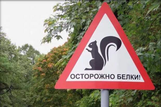 Предупреждающие таблички. Прикольные. Подборкаchert-poberi-tablichki-59590230052020-2 картинка chert-poberi-tablichki-59590230052020-2