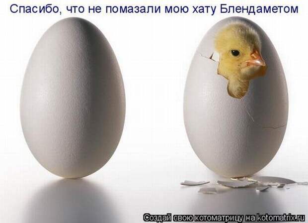 Мысли вслух :)