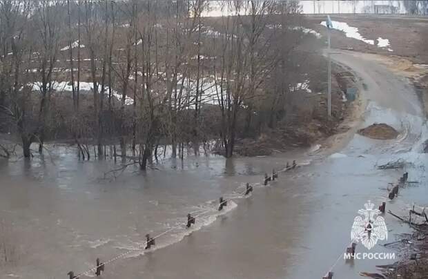 В Тульской области из-за подъема уровня воды в реках закрыто движение на 20 мостах
