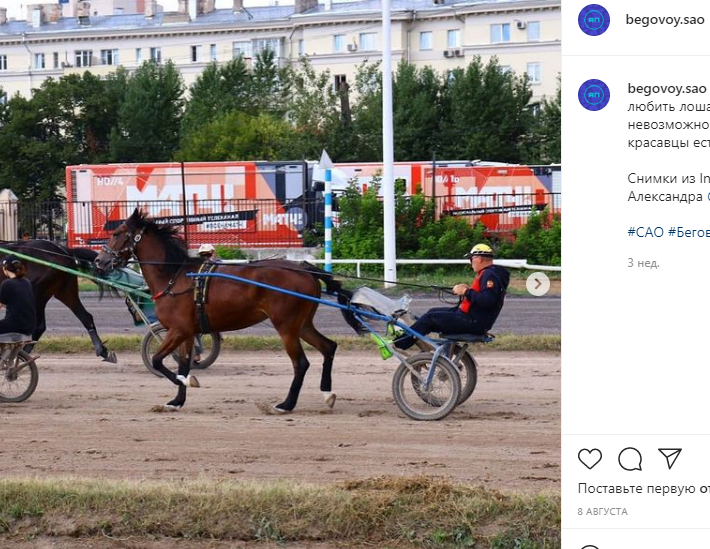 Фото дня: тренировка на ипподроме