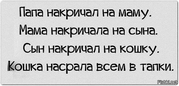 Веселые картинки, которые поднимут вам настроение! Веселые картинки, которые поднимут вам настроение!