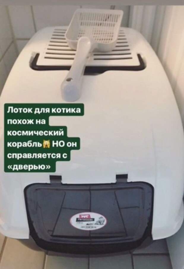 Высокотехнологичный лоток для кота. / Фото: @vadimkruk Высокотехнологичный лоток для кота Фото vadimkruk