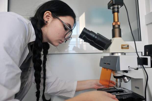 Минздрав утвердил минимальные баллы для поступления в медвузы в 2026 году