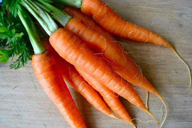 В отварном виде морковь теряет всю свою полезность. / Фото: polzovred.ru