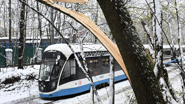 Жителям Москвы и соседних регионов пообещали метель и гололедицу во вторник