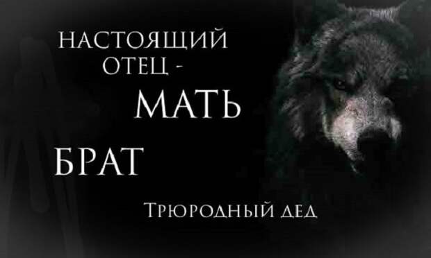 www.vsyako.net
