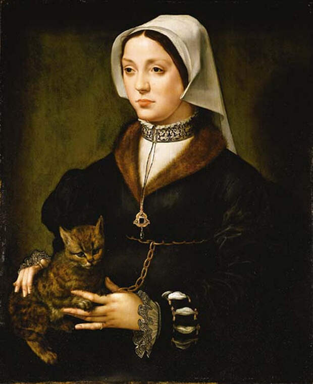 cats