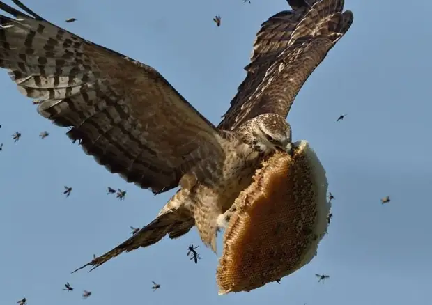 14 фото National Geographic, которые подтверждают уникальность нашего мира