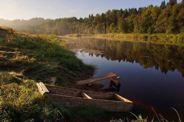 Вепсский лес Вепский лес, Ленинградская область, природа, туризм