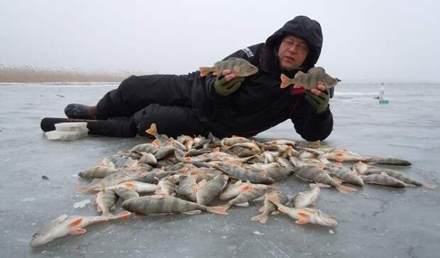 Рыбалка без без улова. Рыбалка со льда в дельте Волги 2021. Без улова