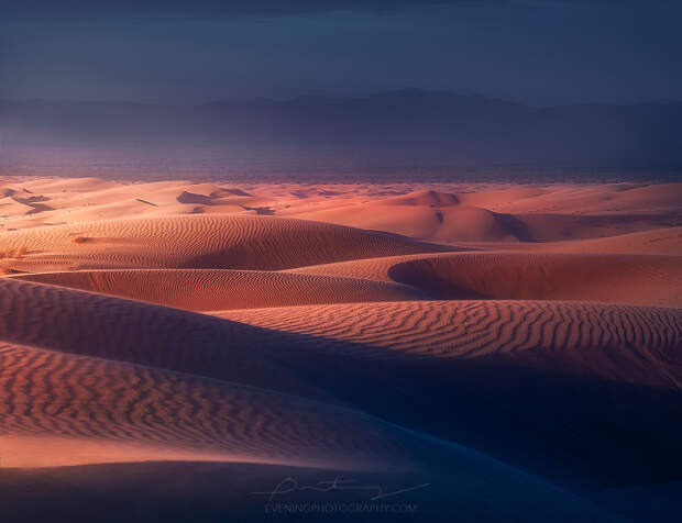 Dunified by Greg Boratyn on 500px