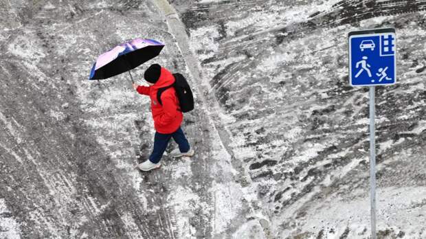 Синоптик допустил появление снежного покрова до 5 см в Москве 28 апреля