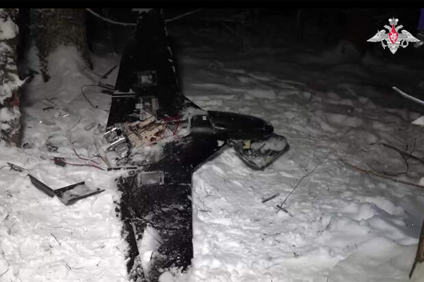 Пытавшийся атаковать резиденцию Путина дрон показали на видео