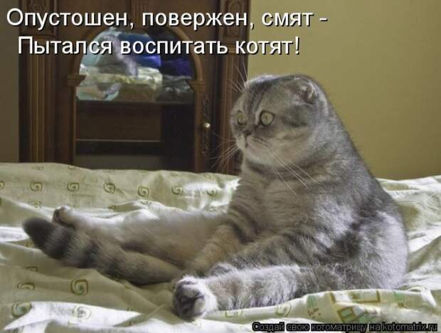 Мысли вслух :)
