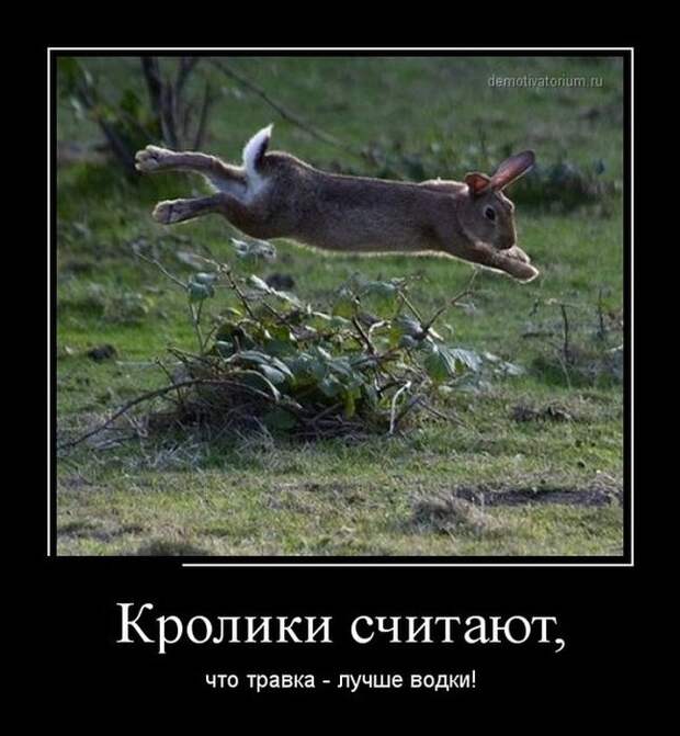 1395856341_demotivatory_01_1 (646x700, 68Kb)