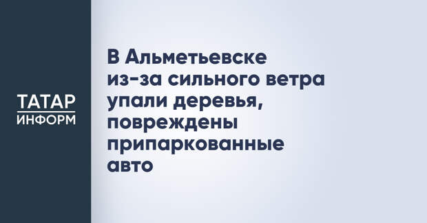 В Альметьевске из-за сильного ветра упали деревья, повреждены припаркованные авто