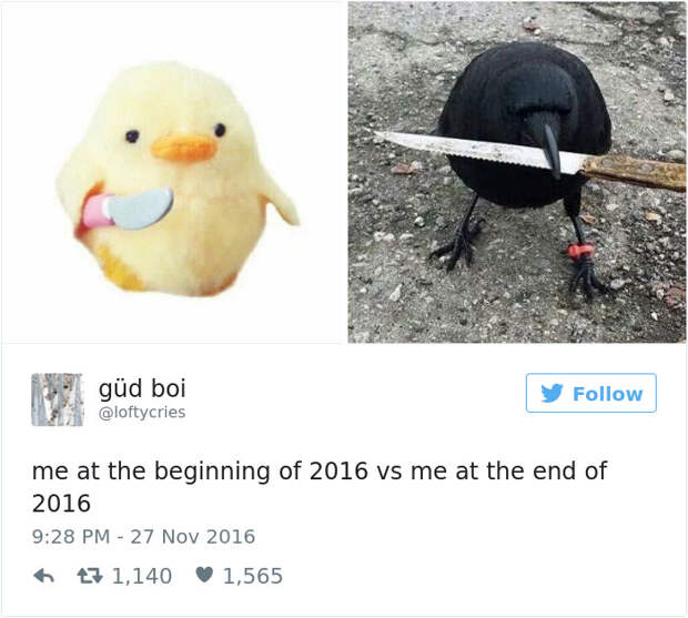 Me At The Beginning Of 2016 Vs Me At The End Of 2016