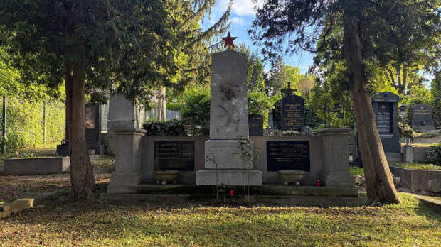 В Вене осквернили советское воинское захоронение перед Днем Победы