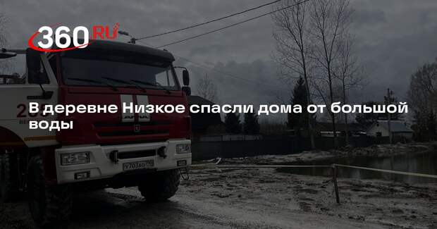 В деревне Низкое спасли дома от большой воды
