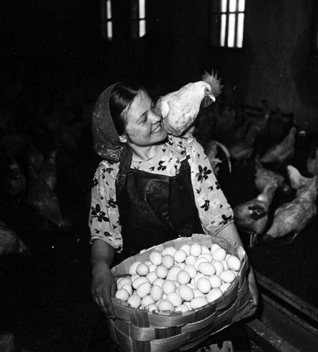 Фотография: 64 гениальные советские фотографии 