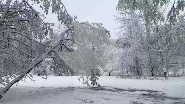 Высота апрельского снега в Москве побила рекорд 55-летней давности