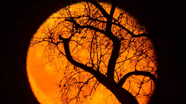 Лунный календарь 2026: фазы Луны по месяцам