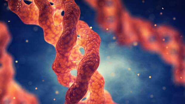 Ученые смогли омолодить клетки