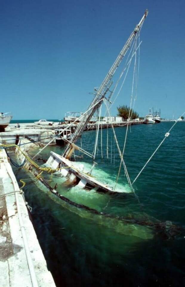 Тяжелая судьба морских судов