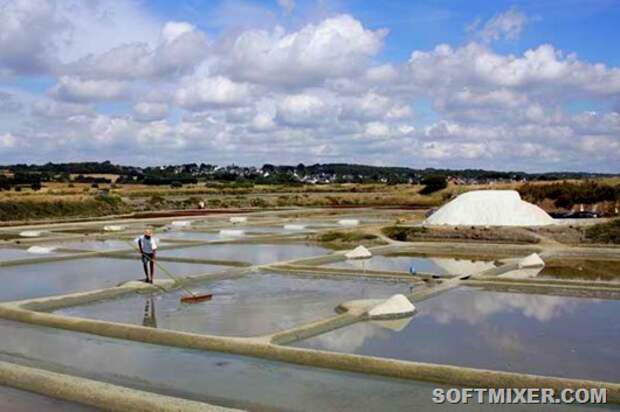 fleur-de-sel-de-guerande1