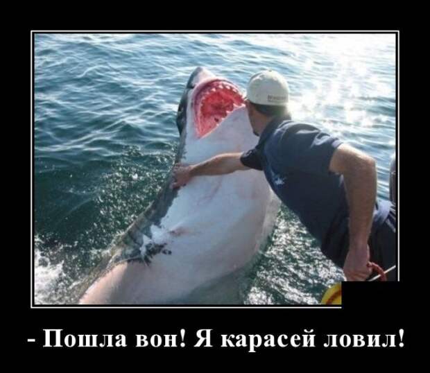 demotivatory-demotivator-smeshnye-demotivatory-demotivator-so-smyslom