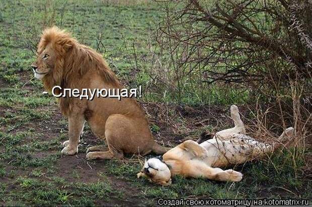 Мысли вслух :)