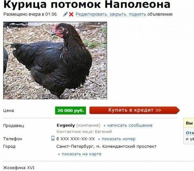 Серьезные объявления от самых деловых людей страны Серьезные объявления от самых деловых людей страны