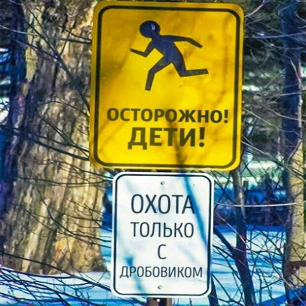 Тот случай, когда дробовик не прихоть, а необходимость. | Фото: Humor.fm. Тот случай, когда дробовик не прихоть, а необходимость. | Фото: Humor.fm.