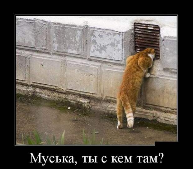 Прикольные и свежие демотиваторы для веселья (11 фото)