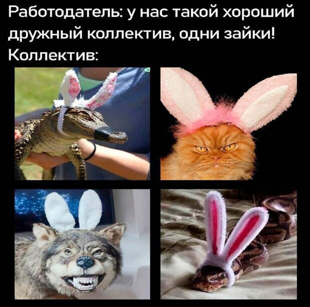 @psychology_funny #юмор #смешное #приколы