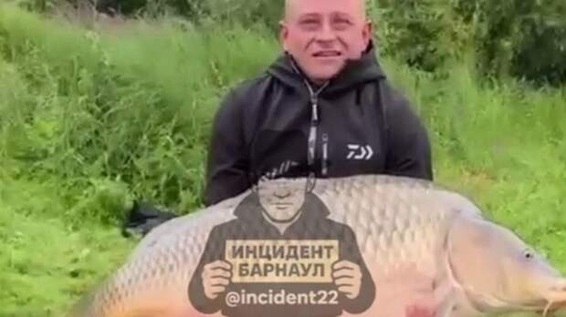 Огромный карп / Фото: скриншот из видео