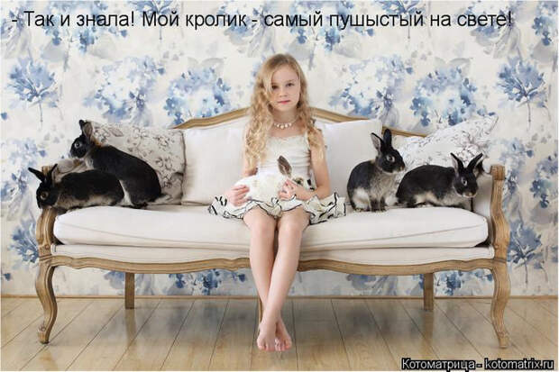 kotomatritsa_Zg (700x466, 342Kb)