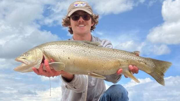 Wyoming state record Tiger Trout