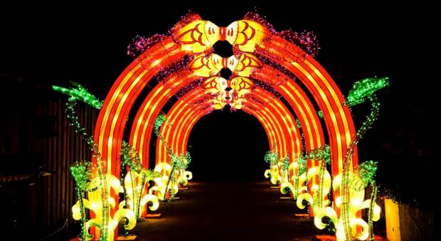 Фото: Пресс-служба