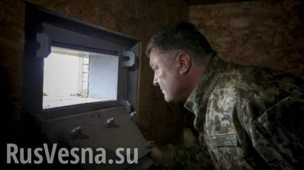 Украина ищет доброго диктатора: В Раде назвали дату штурма резиденции Порошенко | Русская весна