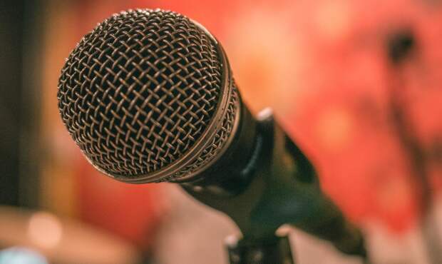 Рязанский депутат пообещал коллеге засунуть микрофон в «одно место»
