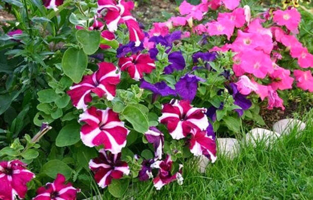 clip_image040