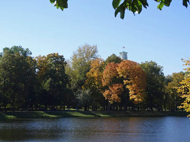 Фото: АГН Москва