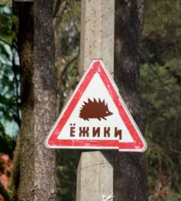 Предупреждающие таблички. Прикольные. Подборкаchert-poberi-tablichki-59590230052020-3 картинка chert-poberi-tablichki-59590230052020-3